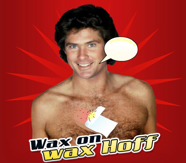 davidHasselhoff.jpg.