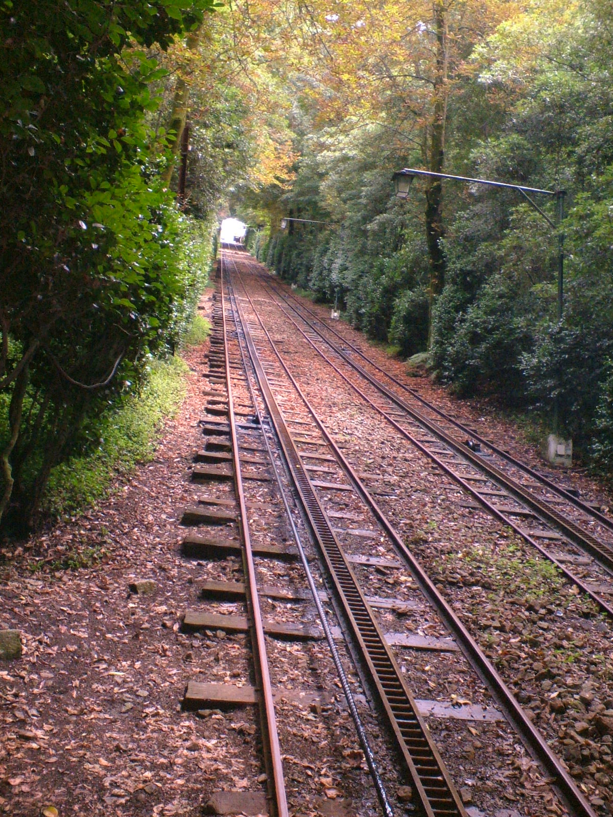[minho2005+044.jpg]