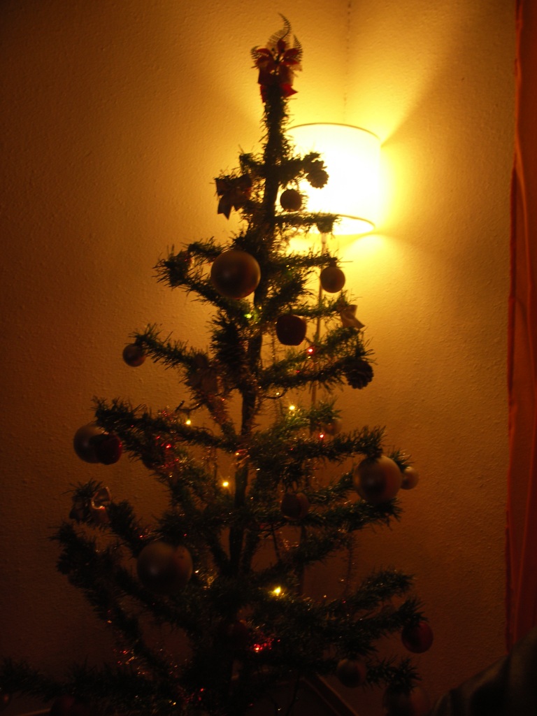 [PICT0084.JPG]