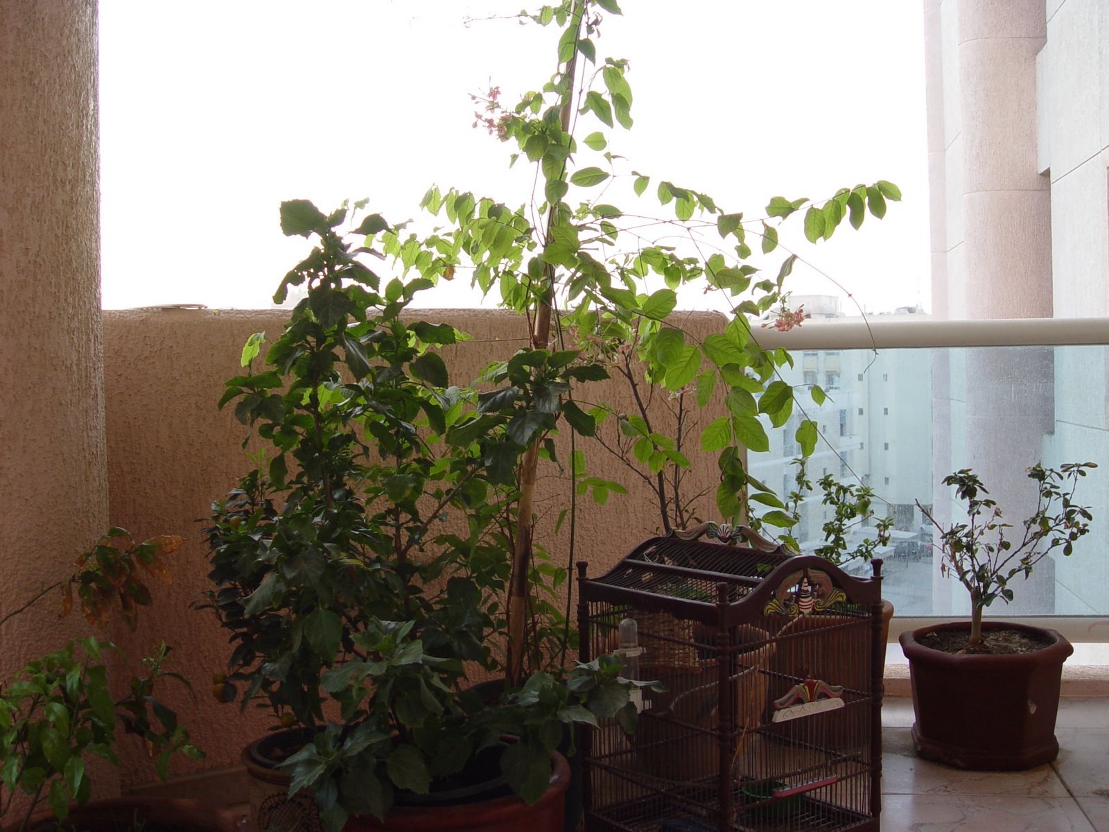 [DSC03084.JPG]