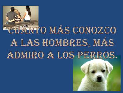 Desamor y tristeza con frases e imagen : Test Amor Frases Desamor