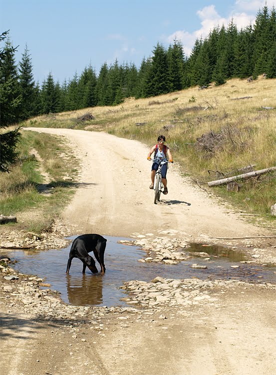 Fotoblogul Lui Mihai C Pe Somesul Rece Pana La Blajoaia Pe Bicicleta