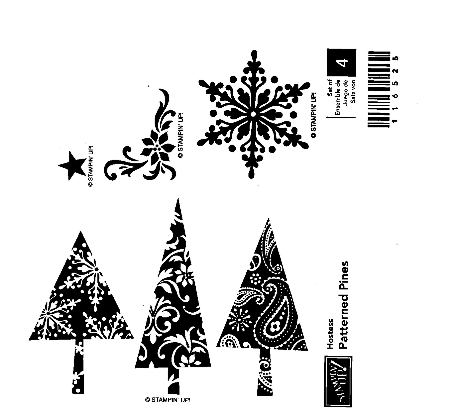 [Patterned+Pines.bmp]