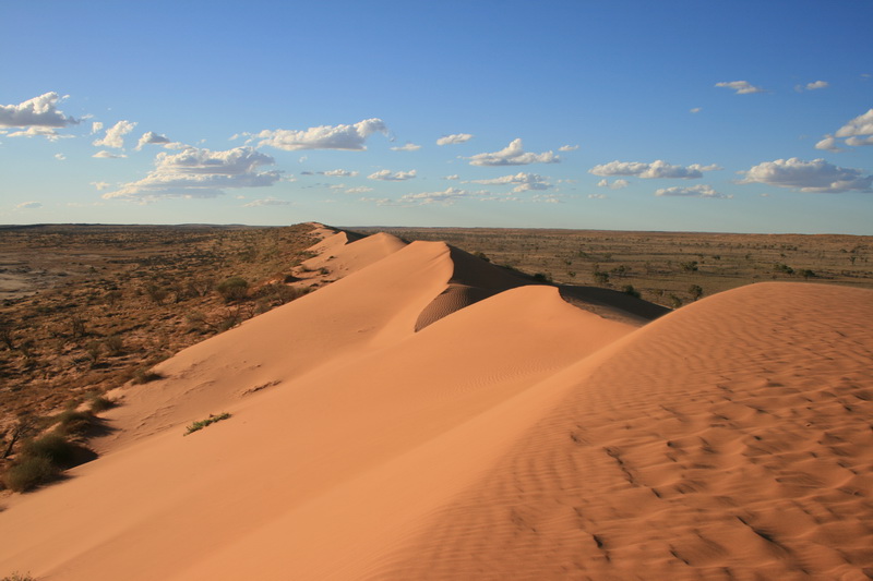 Najveće pustinje na svetu  Big+Red+Sand+Dune+Simpson+Desert+Queensland+Australia