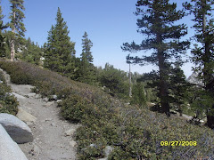 Mt. San Jacinto Hiking Trail