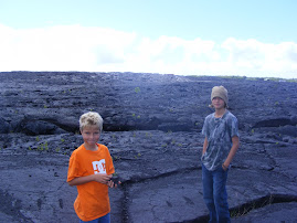 Lava field