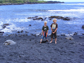 black sand beach