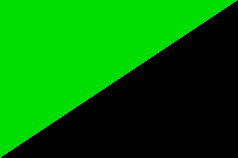 [800px-Green_and_Black_flag.svg.png]