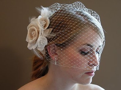 Wedding Hairstyles with Veil