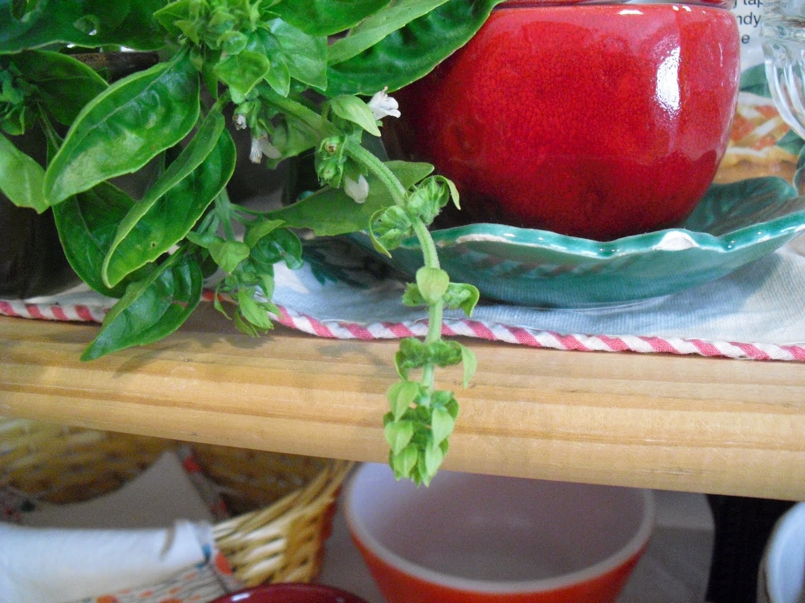 Freeze Basil Flowers at Emily Phillips blog