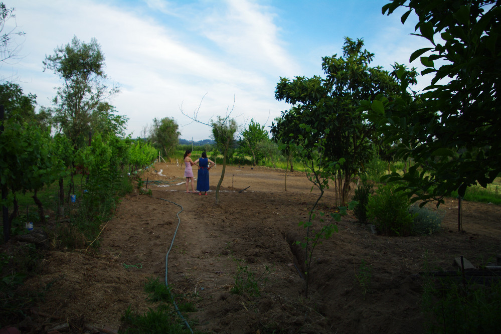 Diário da nossa casa: Cesped del jardin