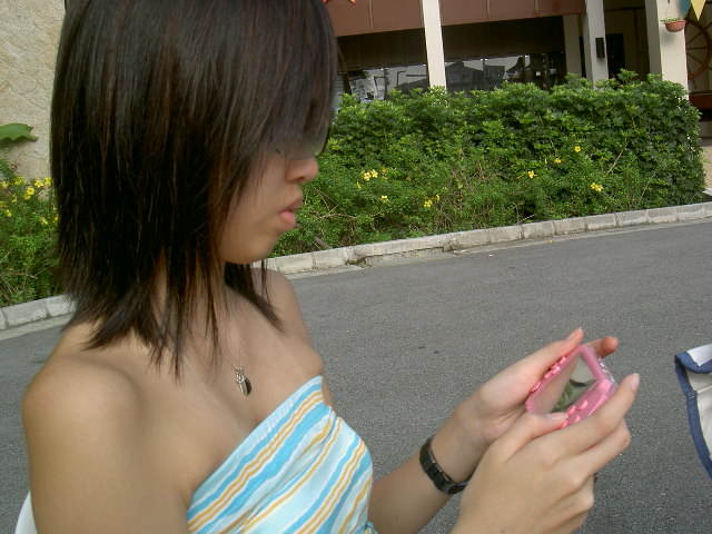 [PICT7715.JPG]