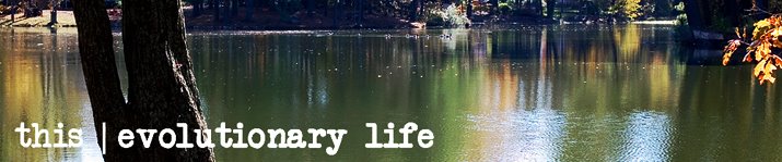 this evolutionary life