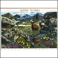 Alpine Tundra Pane 10 x 41 cent US postage Stamps NEW Mint