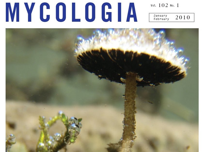 Underwater Mushrooms a Gas