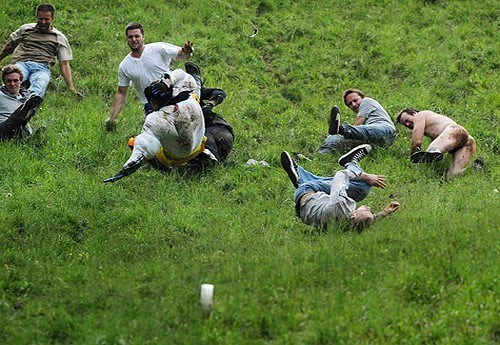From the top of the hill a Fat People Rolling Down Hills. From the top of the hill a