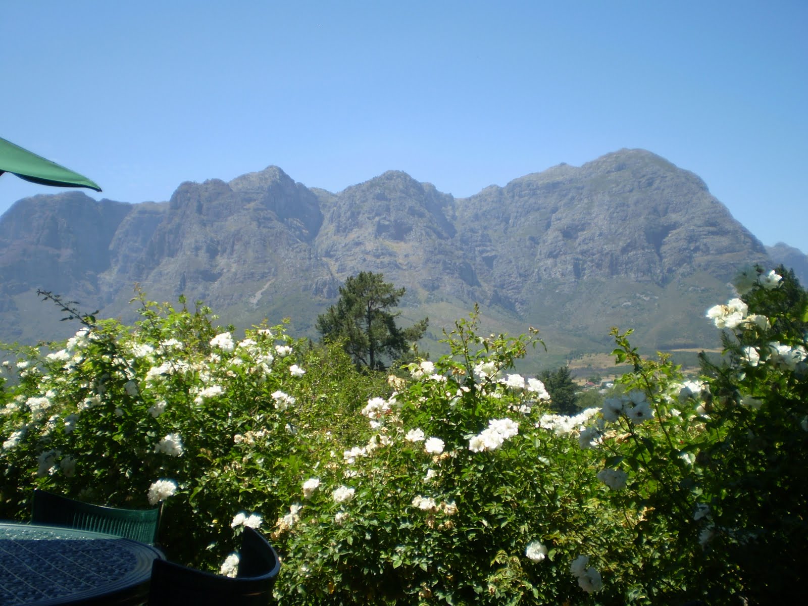 A Little Girl In A Big City Hillcrest Berry Farm.