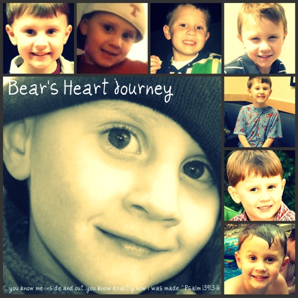 Bear's Heart Journey
