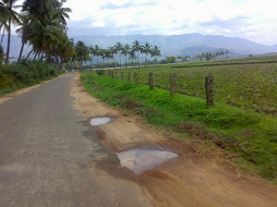 Surroundings of gudalur