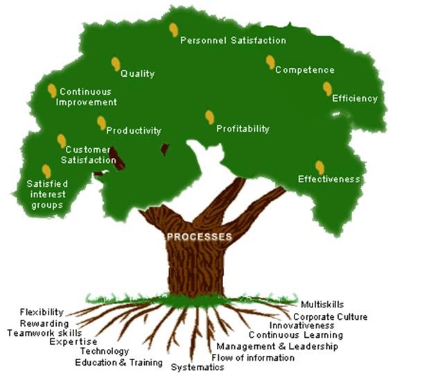 Quality Excellence Process Tree