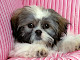 My photo