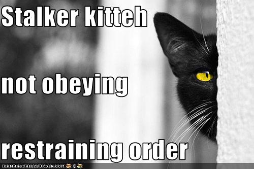 [http://2.bp.blogspot.com/_omW31xtfoy4/S604vcLlqpI/AAAAAAAABnM/-4k3gbu-Ymw/s1600/funny-pictures-cat-is-a-stalker.jpg]