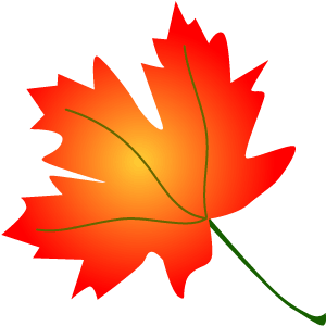 Cartoon Maple Leaf