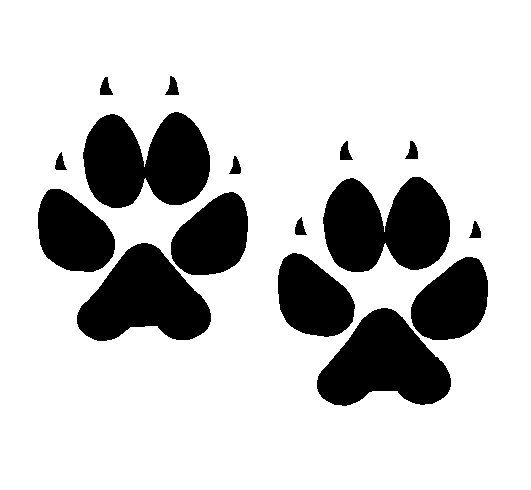 [dog+paws.bmp]