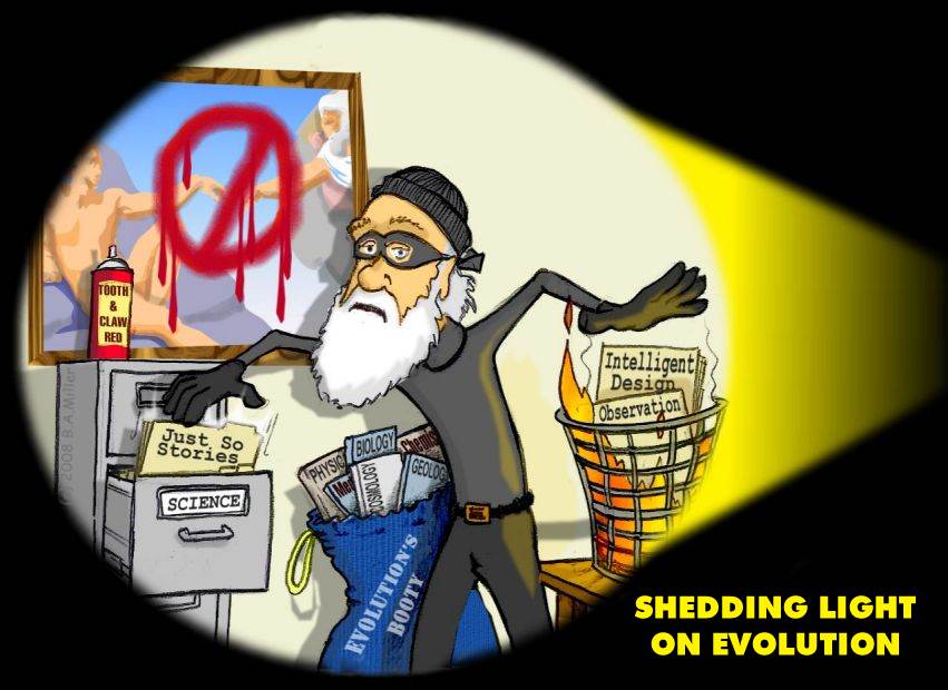 [019+BM-Shedding-Light-on-Evolution.jpg]