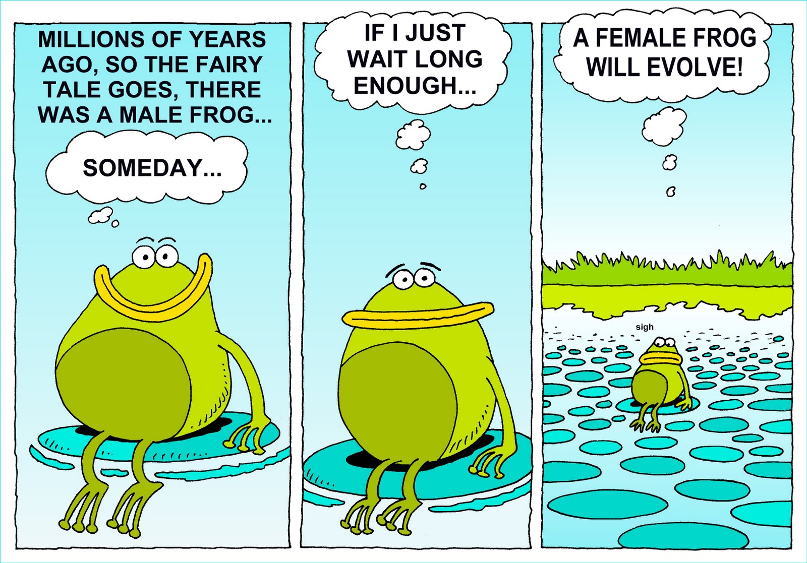 [033+FrogWaitsForFemale.jpg]
