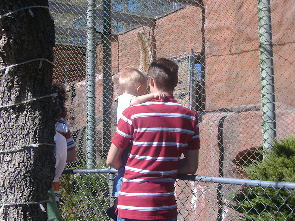 Daddy and Jared look at the animals