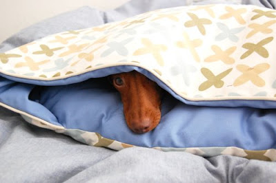 caixa loterias site oficial