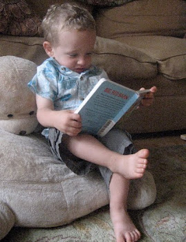A Boy and His Book