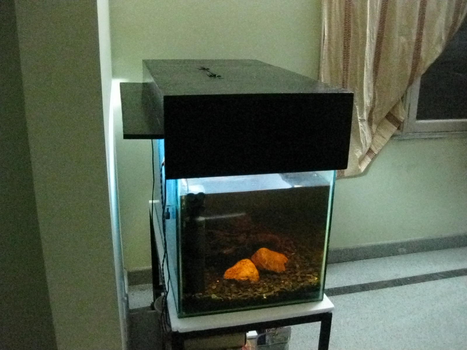 Make My Aquarium Do it yourself Aquarium hood