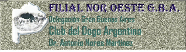 FILIAL N.O. GBA Club del Dogo Argentino