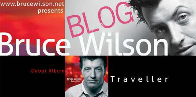 Bruce Wilson Traveller