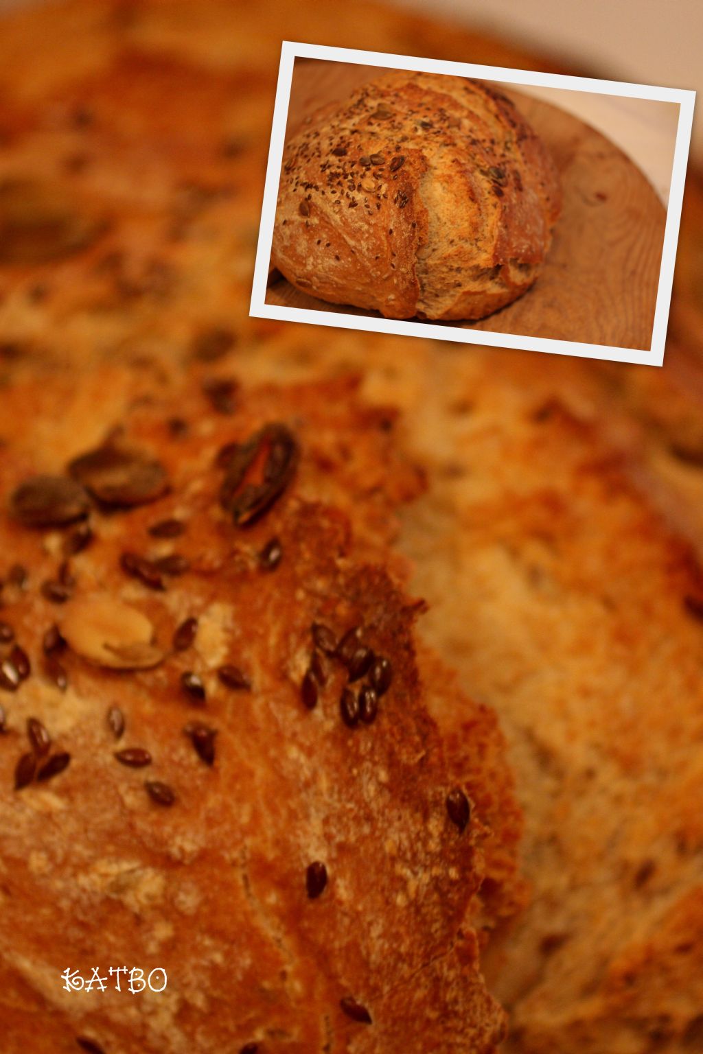 [KKKKKKKKKKKK-RRRRRRR.jpg]