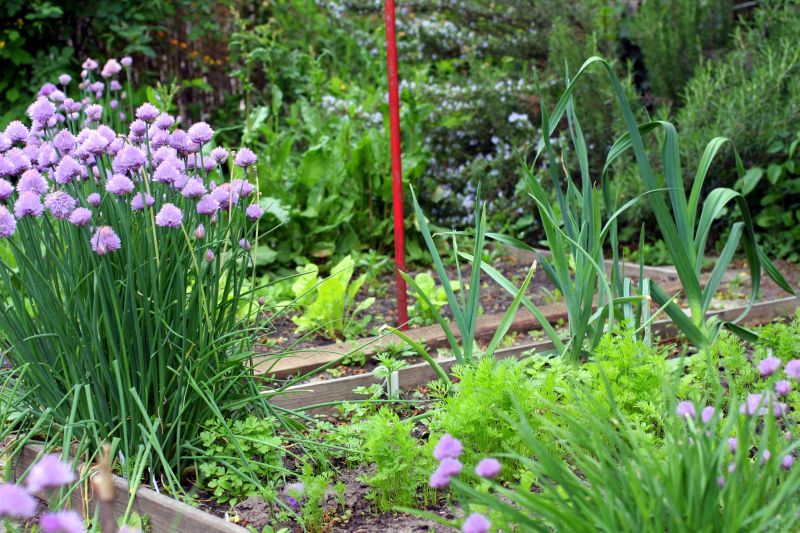 [44444444444444.jpg]