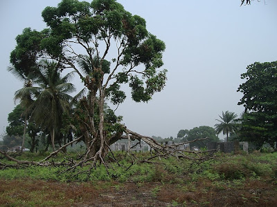 Po River Mission in ruins