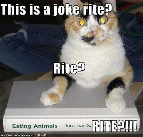[funny-pictures-cat-asks-if-book-is-joke.jpg]