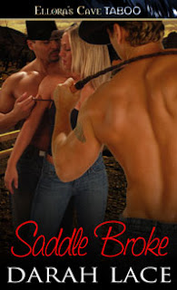 Guest Review: Saddle Broke by Darah Lace