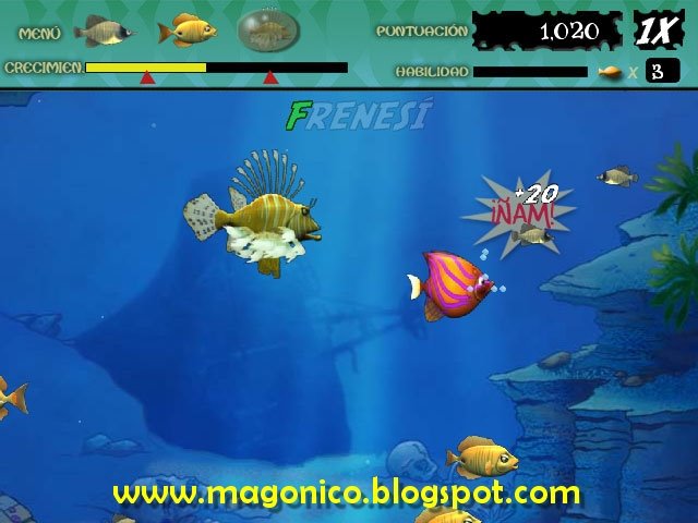 cadena alimenticia google translate feeding frenzy 1 en espa 241 ol el blog de almar cadena alimenticia google translate feeding frenzy 1 en espa 241 ol el blog de almar