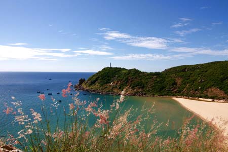 Tin Tuc Tuy Hoa Phu Yen