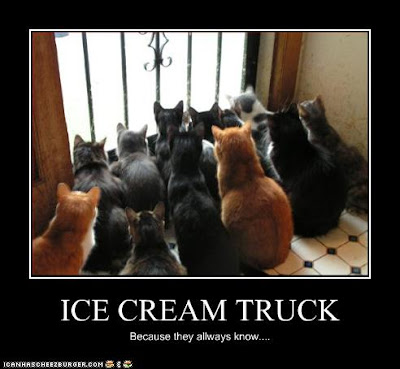 CATS+ice+cream+truck.jpg