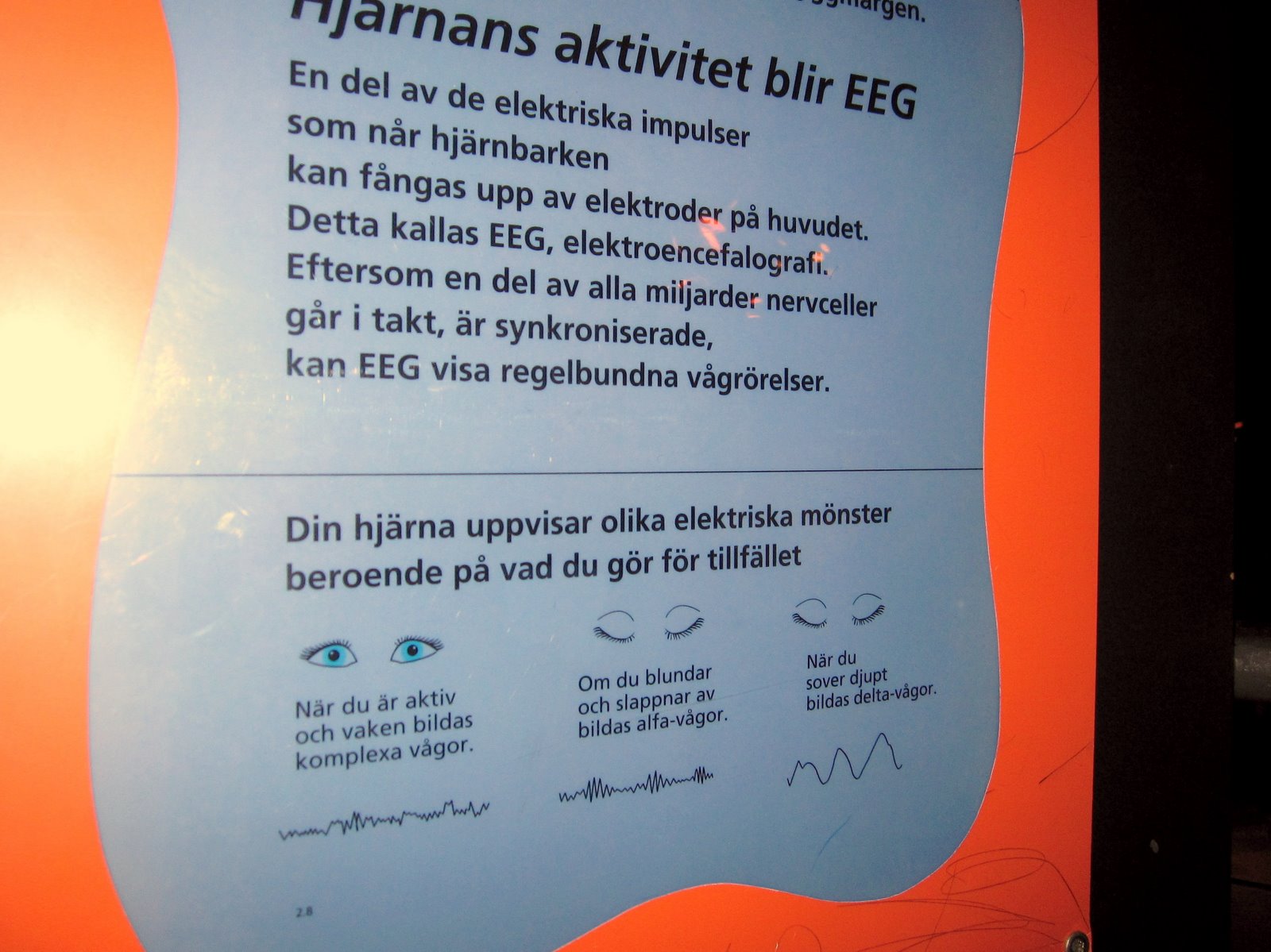 [IMG_0077.JPG]