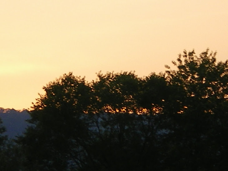 A sunset