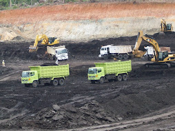 HUTAN HABIS AKIBAT BATUBARA