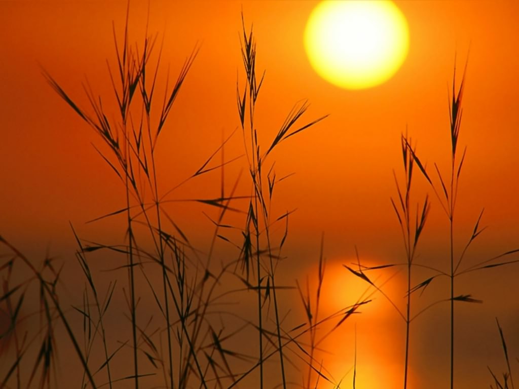 http://2.bp.blogspot.com/_osL5o7rlTeg/S76b7fV06VI/AAAAAAAAIs4/2murdVXmtIY/s1600/sunset.jpg