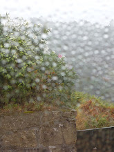 Gotas de chuva na janela