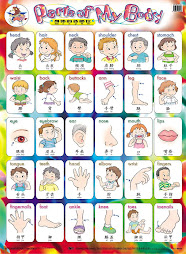Parts of my body!!